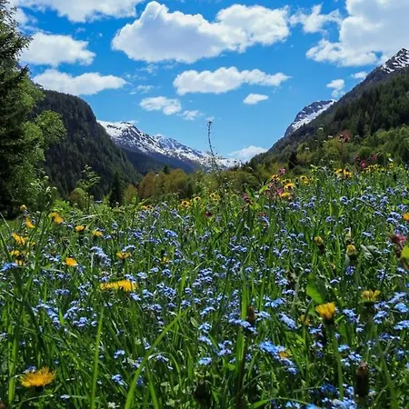 Appartement Maison Chez Les Roset