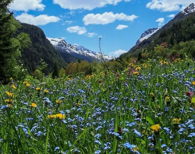 Apartament Maison Chez Les Roset