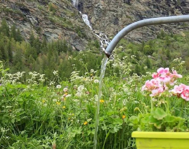 Maison Chez Les Roset Apartament *